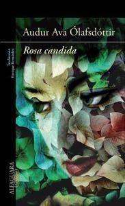 Rosa Candida. 
