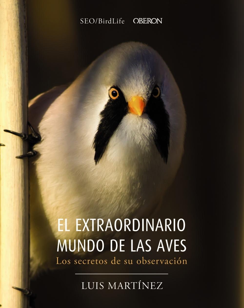 El extraordinario mundo de las aves. Los secretos de su observación. 