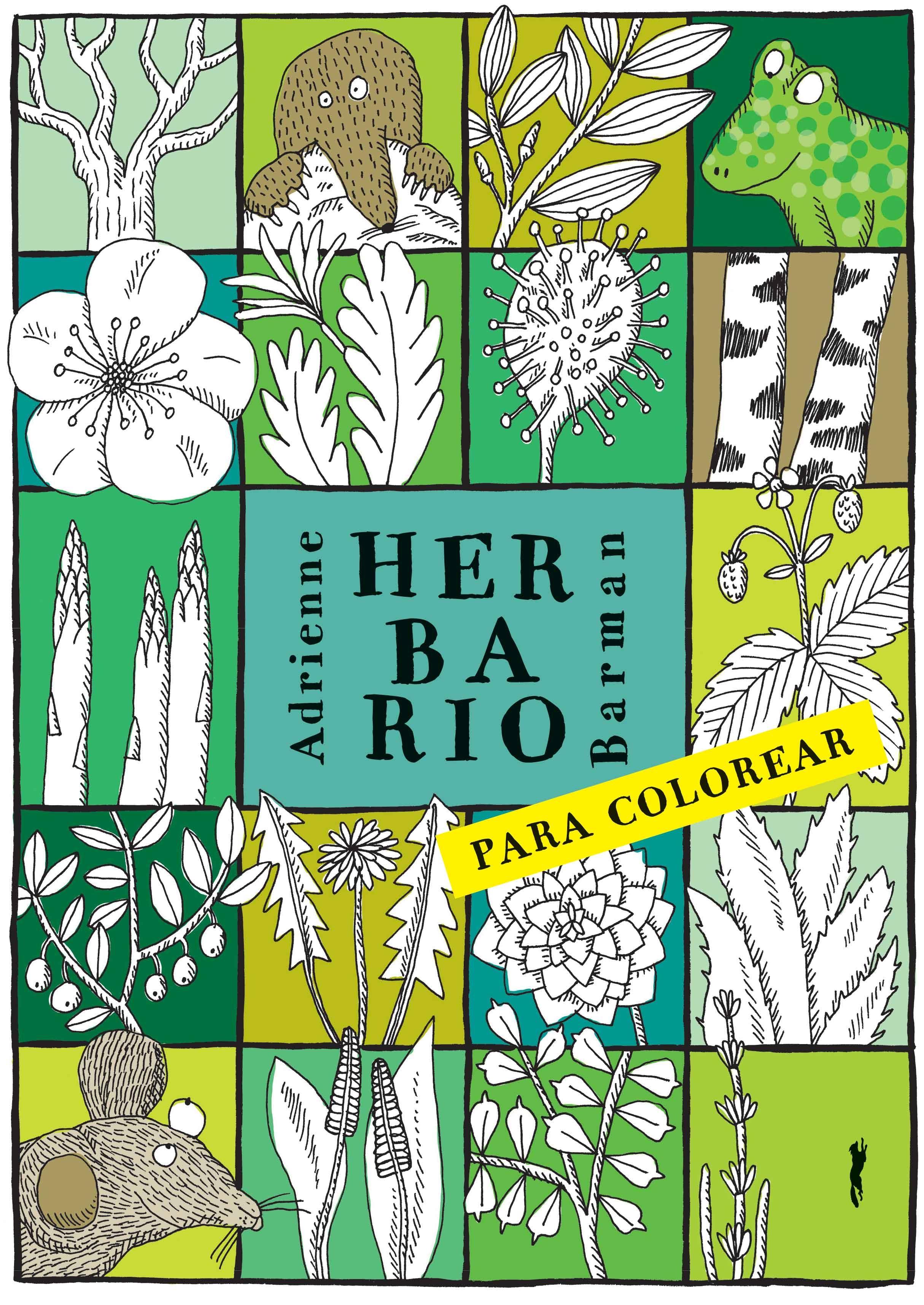Herbario para Colorear. 