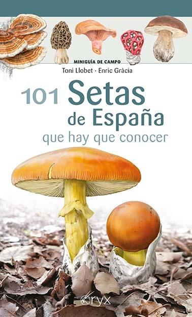 101 Setas de España "Que Hay que Conocer". 