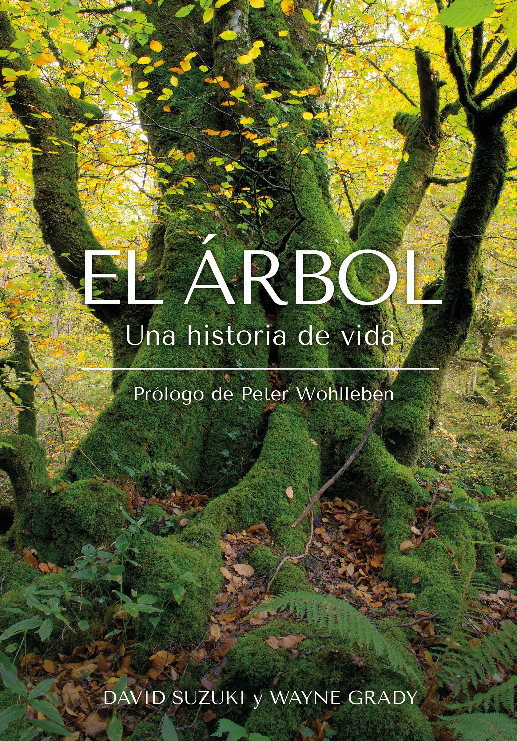 El Árbol "Una Historia de Vida ". 