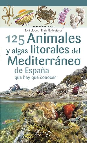 125 Animales y Algas Litorales del Mediterráneo de España que Hay que Conocer. 