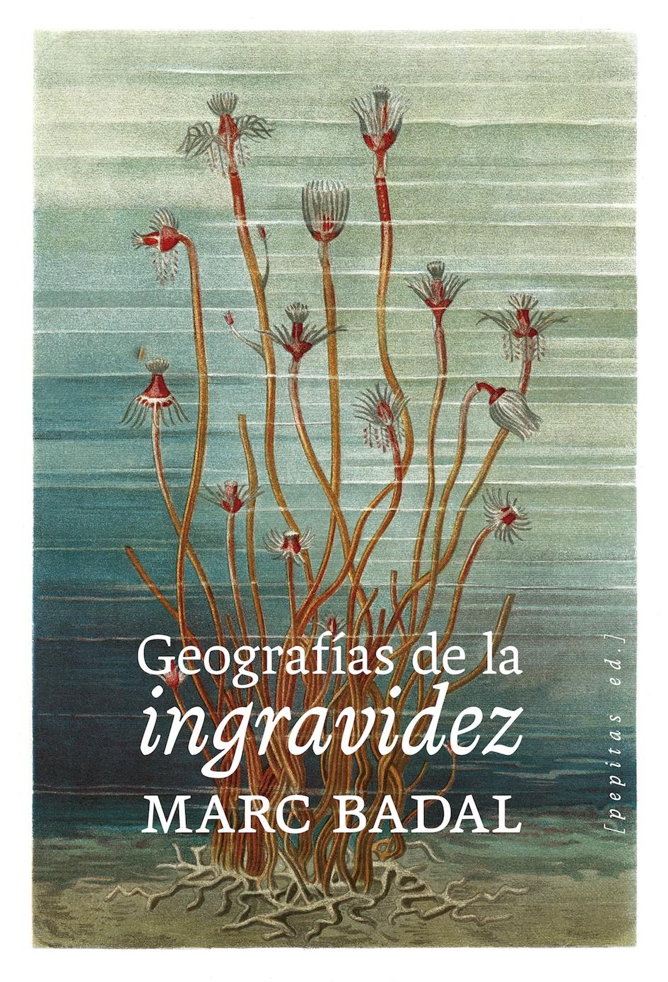 Geografías de la Ingravidez. 
