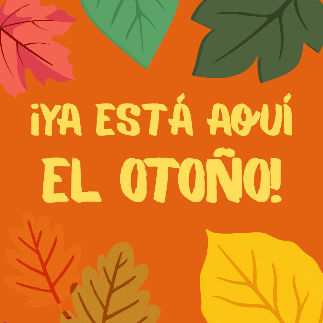 ¡Ha llegado el otoño!