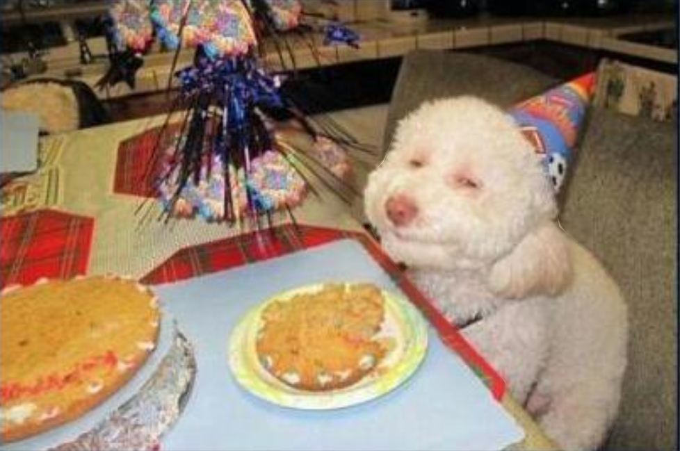 ¡Feliz cumpleaños!