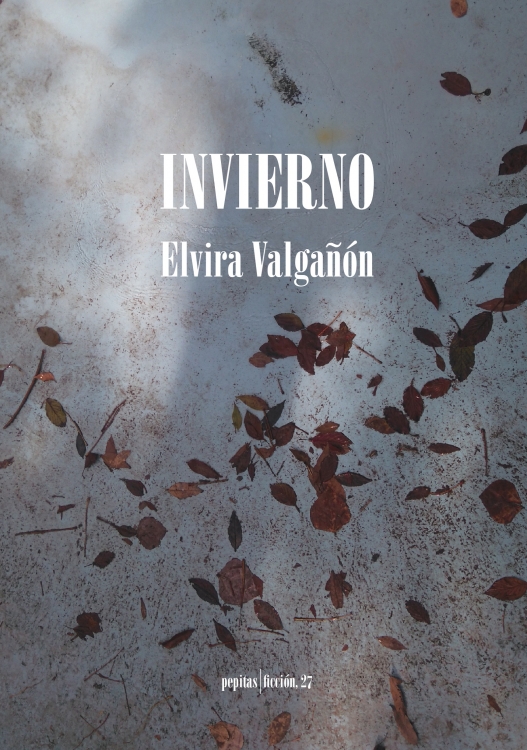 ELVIRA VALGAÑÓN. Invierno (Pepitas de calabaza)