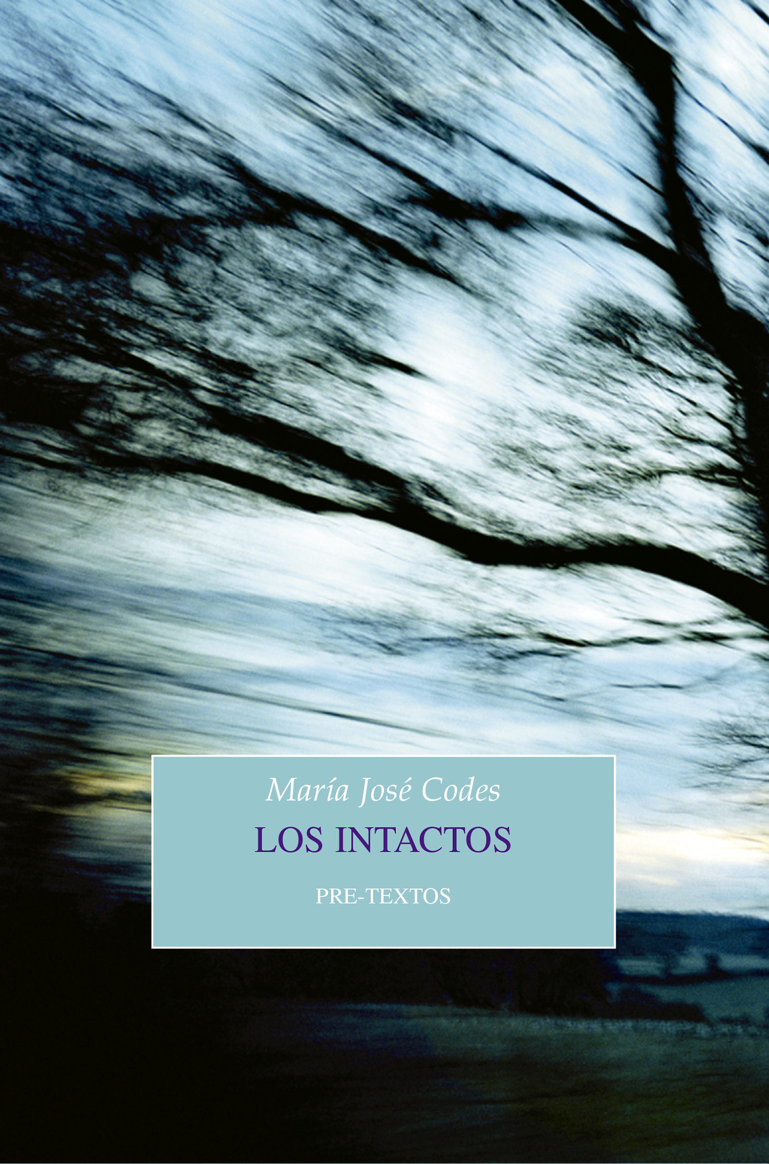 MARÍA JOSÉ CODES. Los intactos (Pre-Textos)