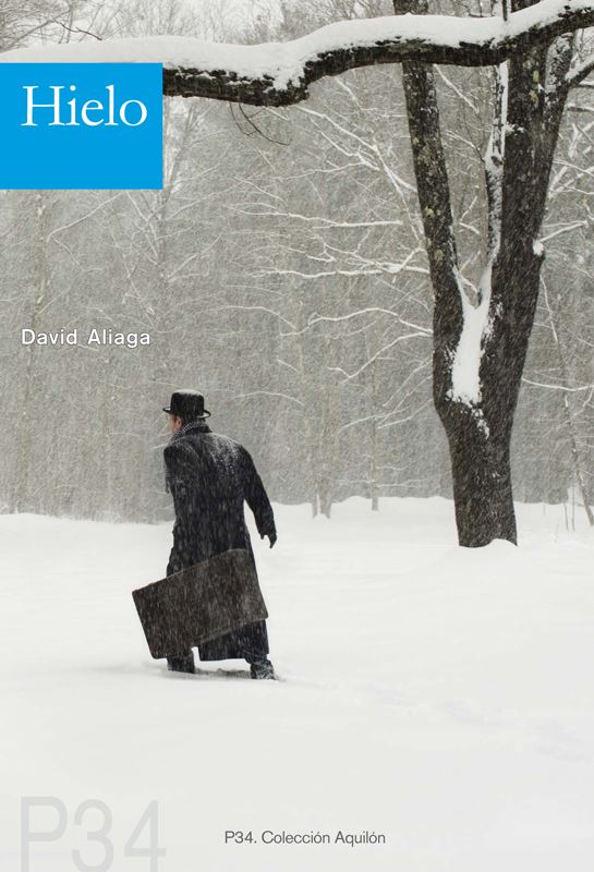 David Aliaga, Hielo (Paralelo Sur)