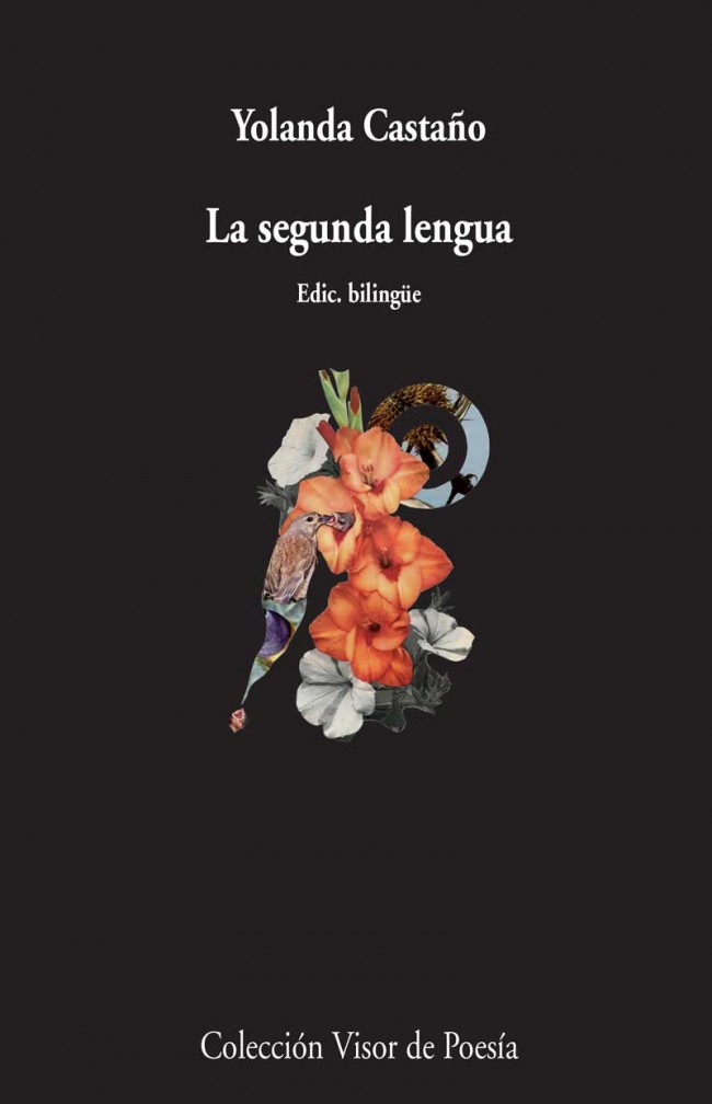 Yolanda Castaño, La segunda lengua (Visor)