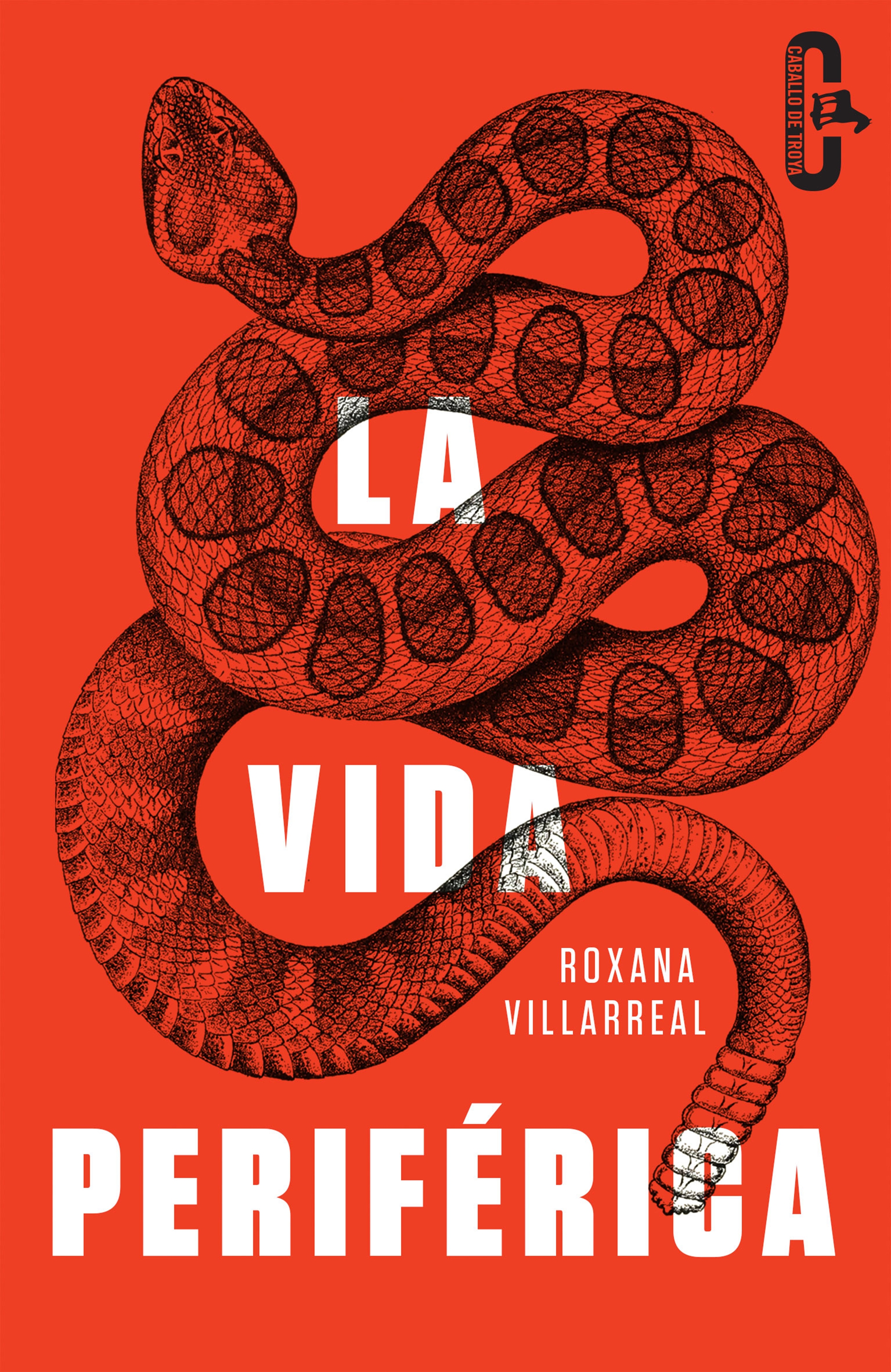 ROXANA VILLAREAL, La vida periférica (Caballo de Troya)