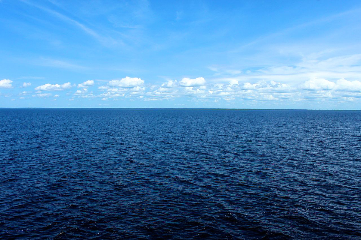 Vámonos al mar