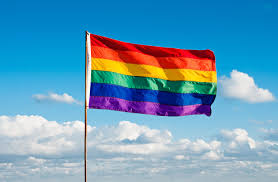 Orgullo, amor y libros