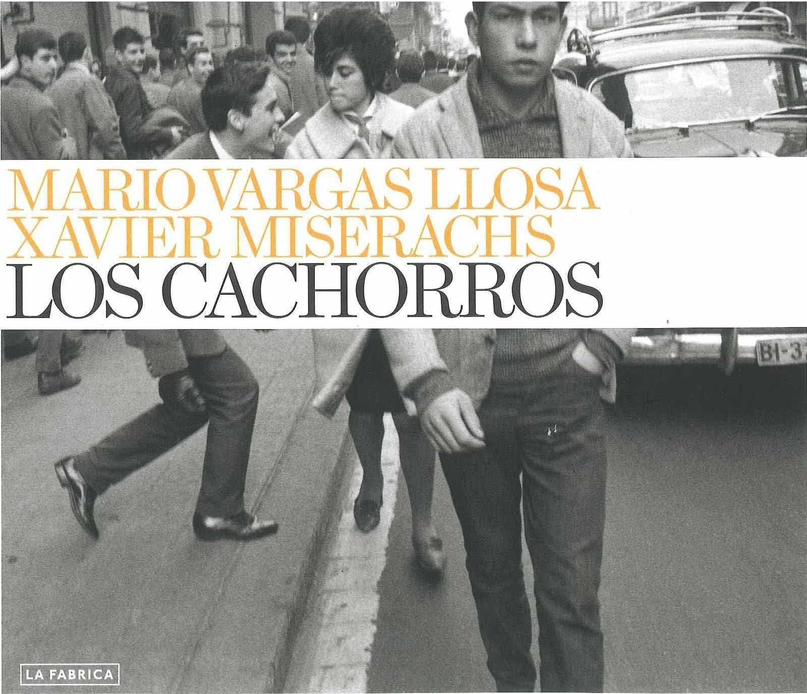 Cachorros, Los "Fotos de XAVIER MISERACHS". 