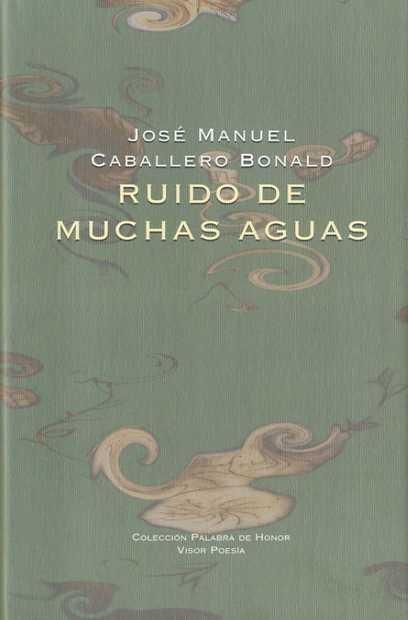 Ruido de Muchas Aguas. 