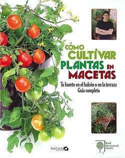 Como Cultivar Plantas en Macetas. 