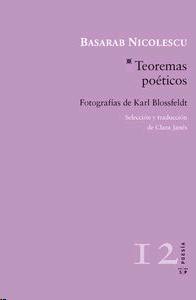 Teoremas Poéticos. Teoremas Poéticos.