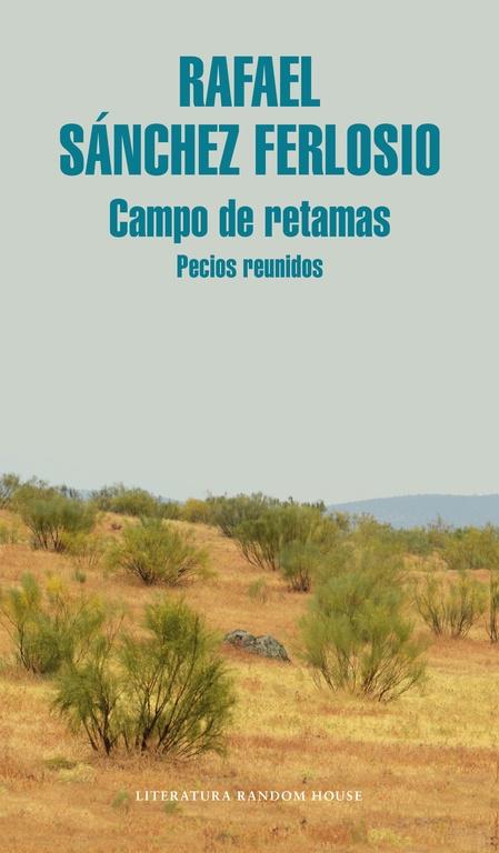 Campo de Retamas "Pecios Reunidos"