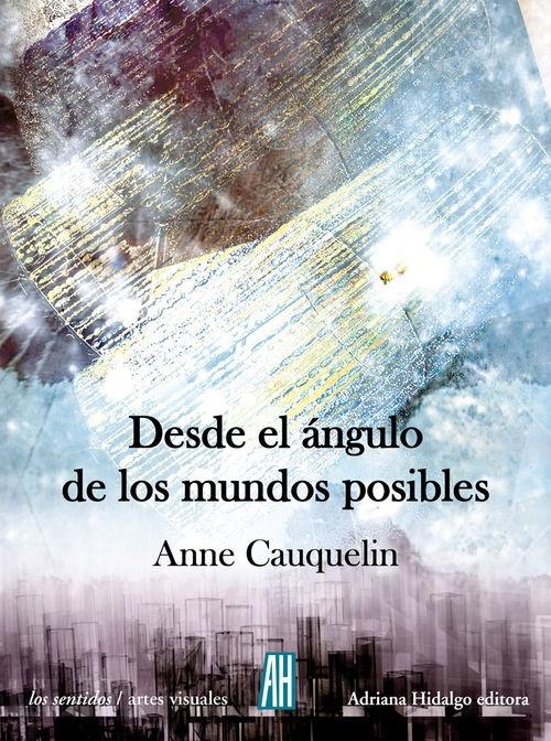 Desde el Ángulo de los Mundos Posibles