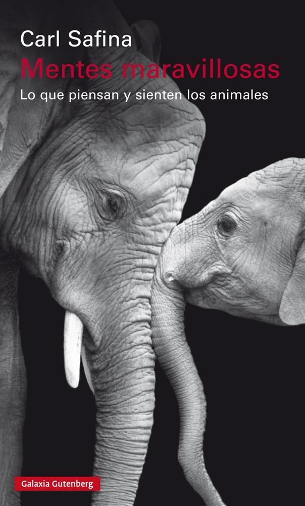 Mentes maravillosas "Lo que piensan y sienten los animales". Mentes maravillosas "Lo que piensan y sienten los animales".