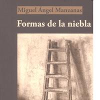 Formas de la Niebla