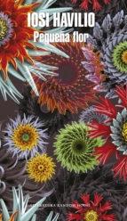 Pequeña flor