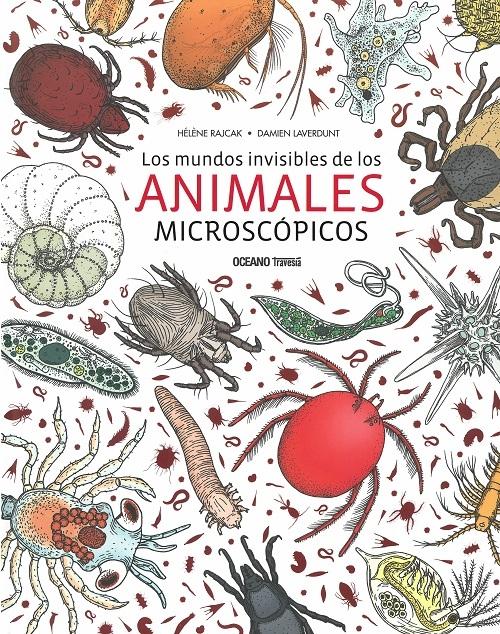 Los mundos invisibles de los animales microscópicos. 