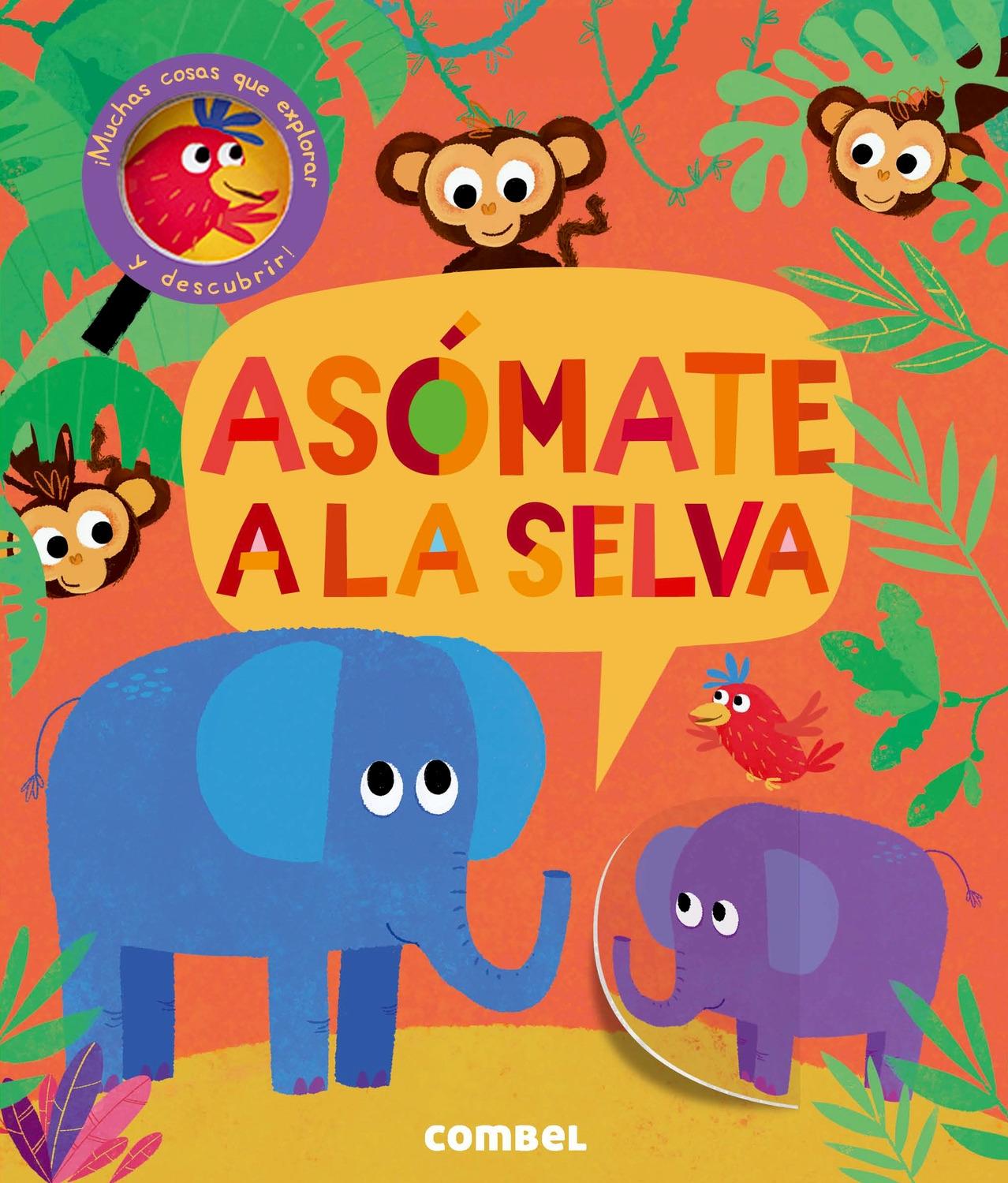 Asómate a la selva. 