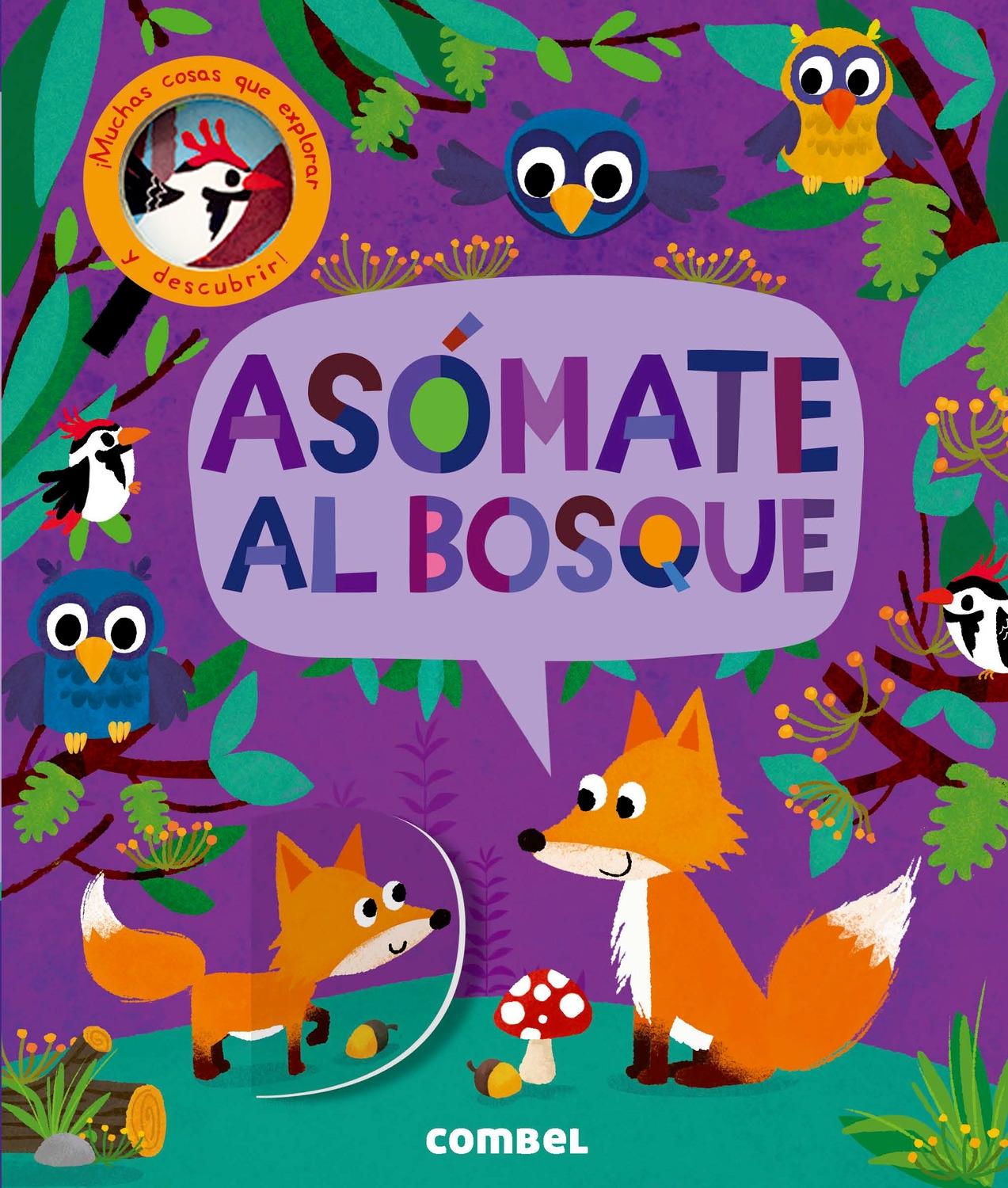 Asómate al bosque. 