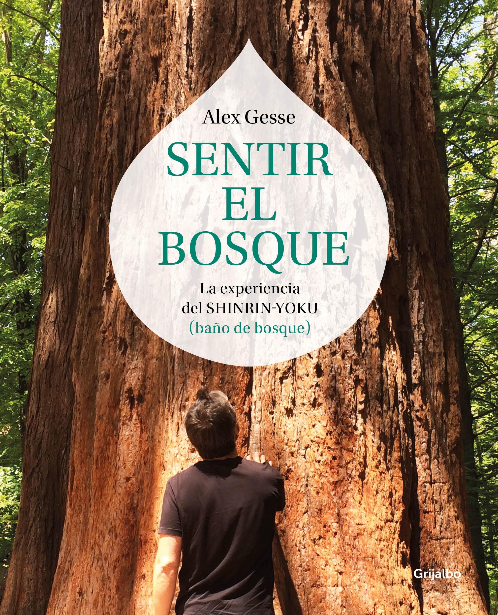 Sentir el bosque "La experiencia del shinrin-yoku  o <<baño de bosque>>"