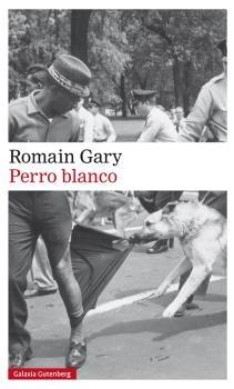 PERRO BLANCO. 