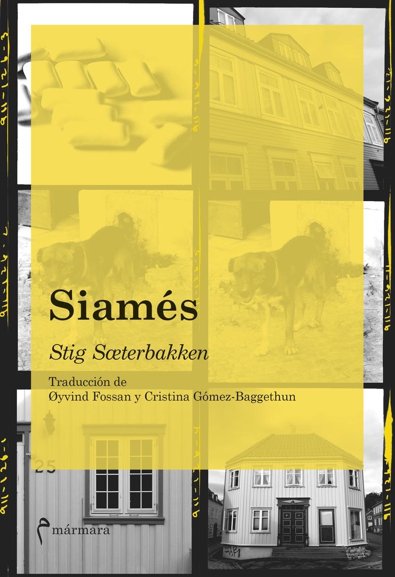 Siamés. 