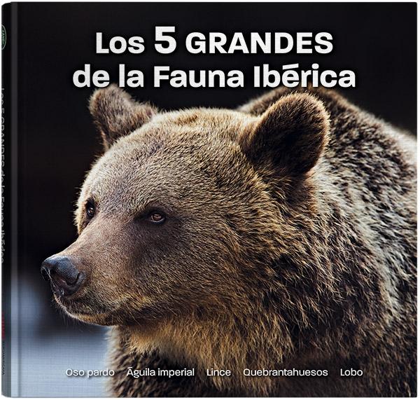 Los 5 GRANDES  de la fauna ibérica. 