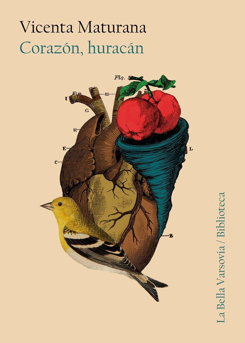 Corazón, Huracán. 