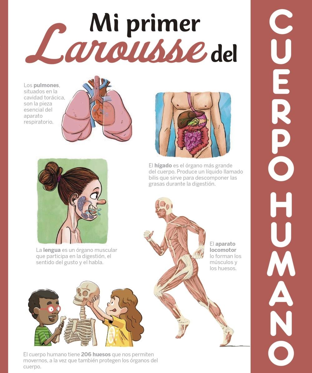 Mi primer Larousse del cuerpo humano. Mi primer Larousse del cuerpo humano.