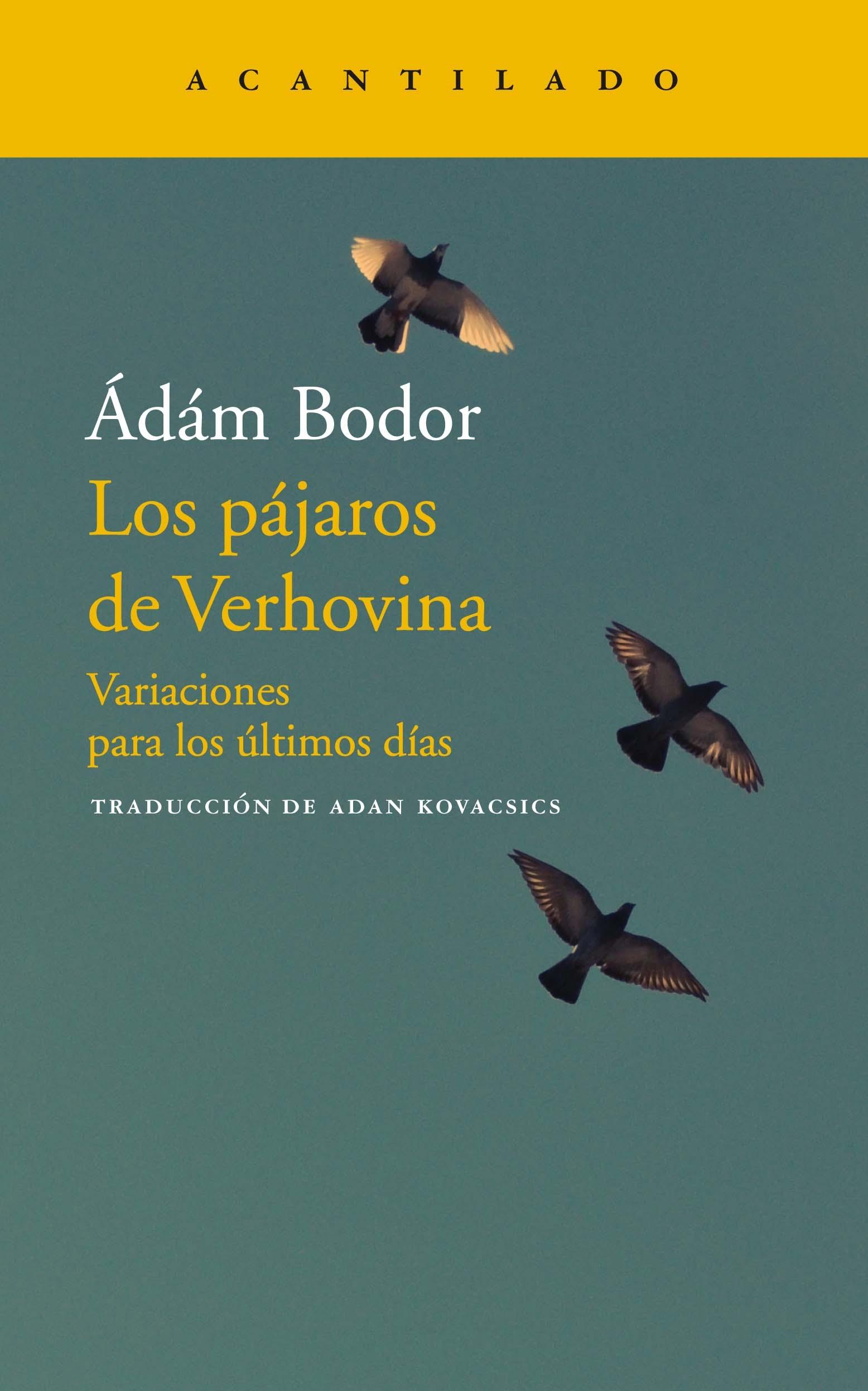 Los Pájaros de Verhovina "Variaciones para los Próximos Días"