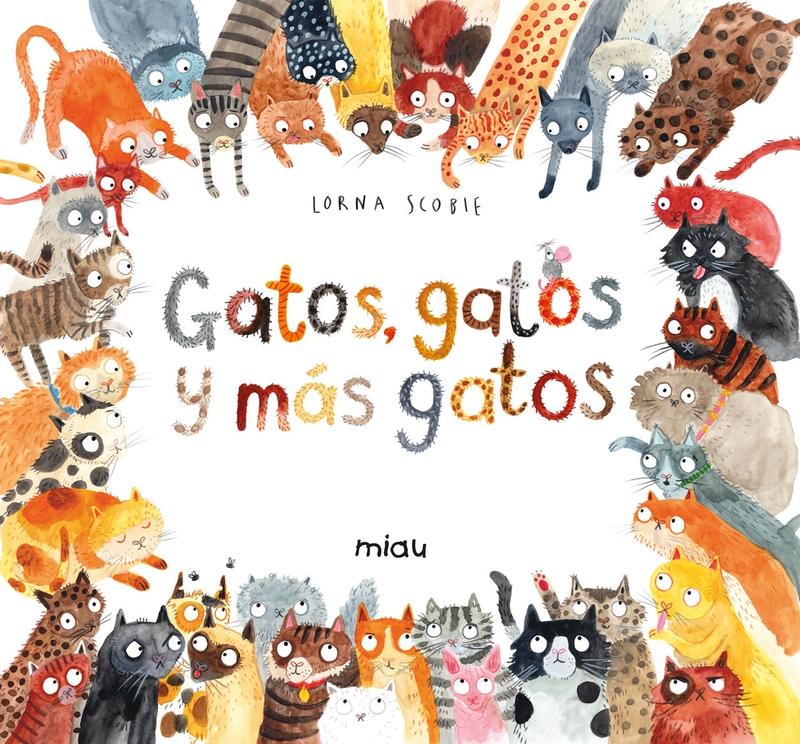 Gatos, Gatos y Más Gatos. 