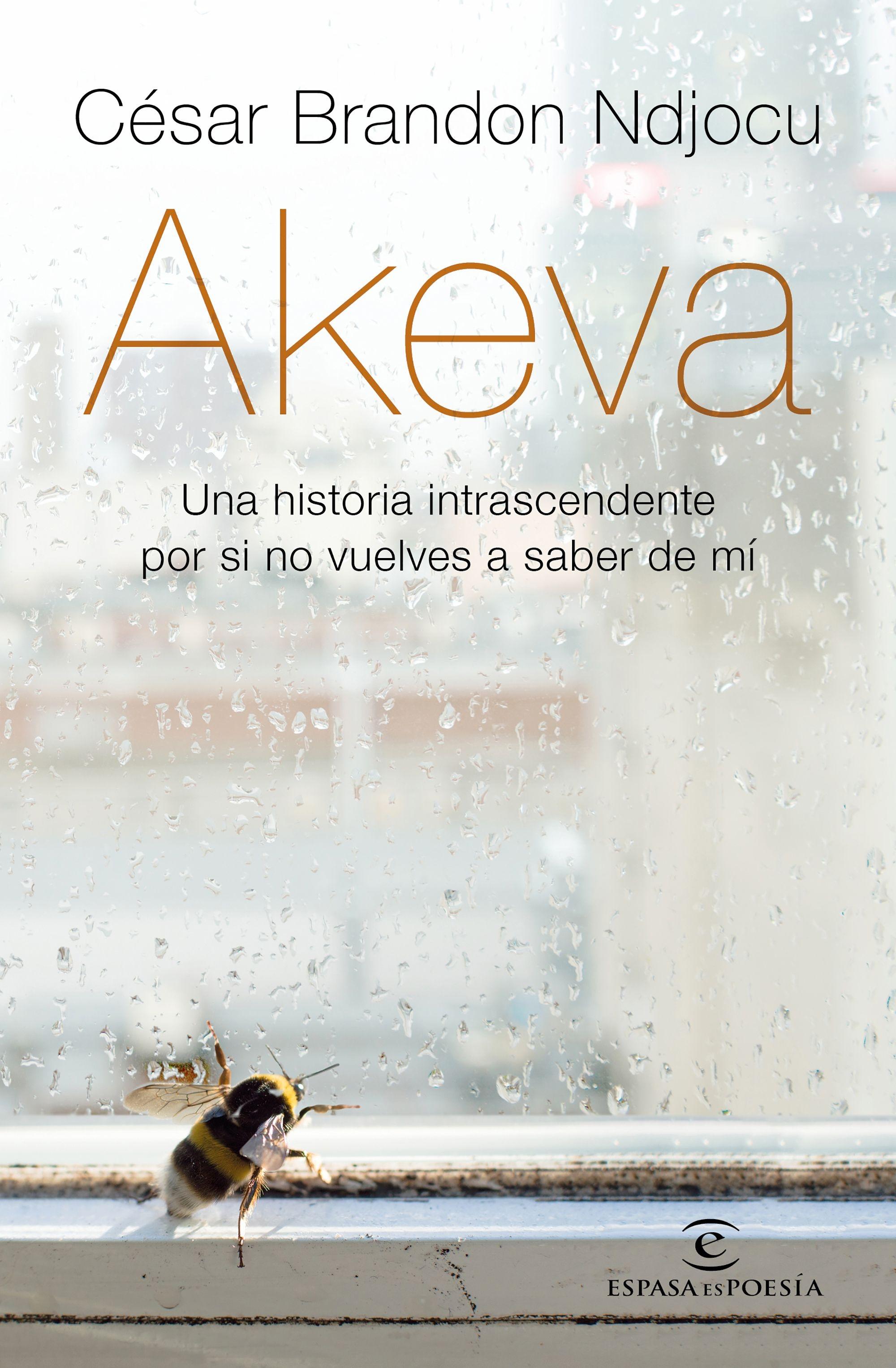 Akeva "Una Historia Intranscendente por si no Vuelves a Saber de Mí"