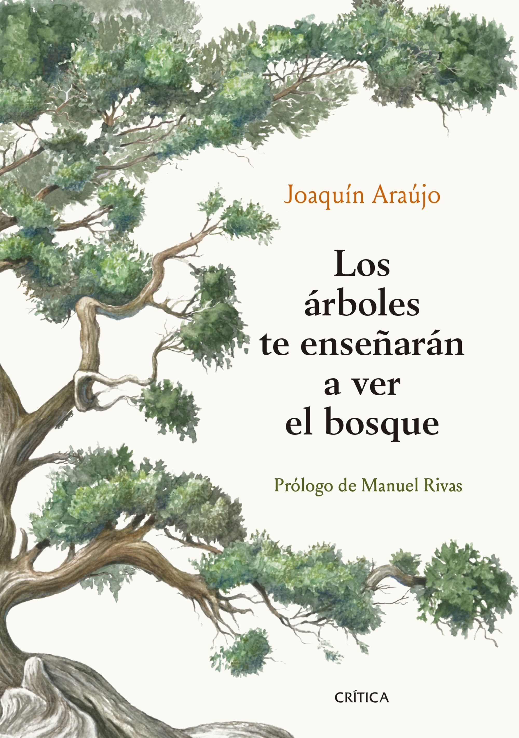 Los Árboles te Enseñarán a Ver el Bosque. 