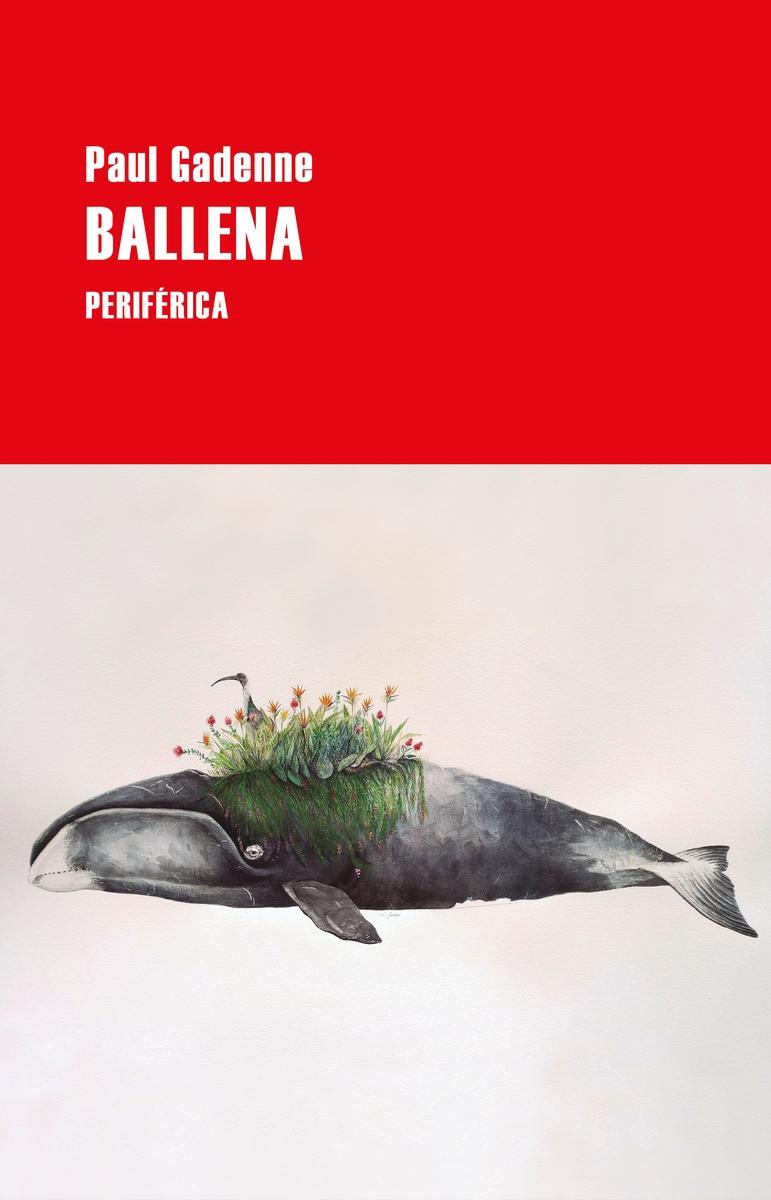 Ballena. 