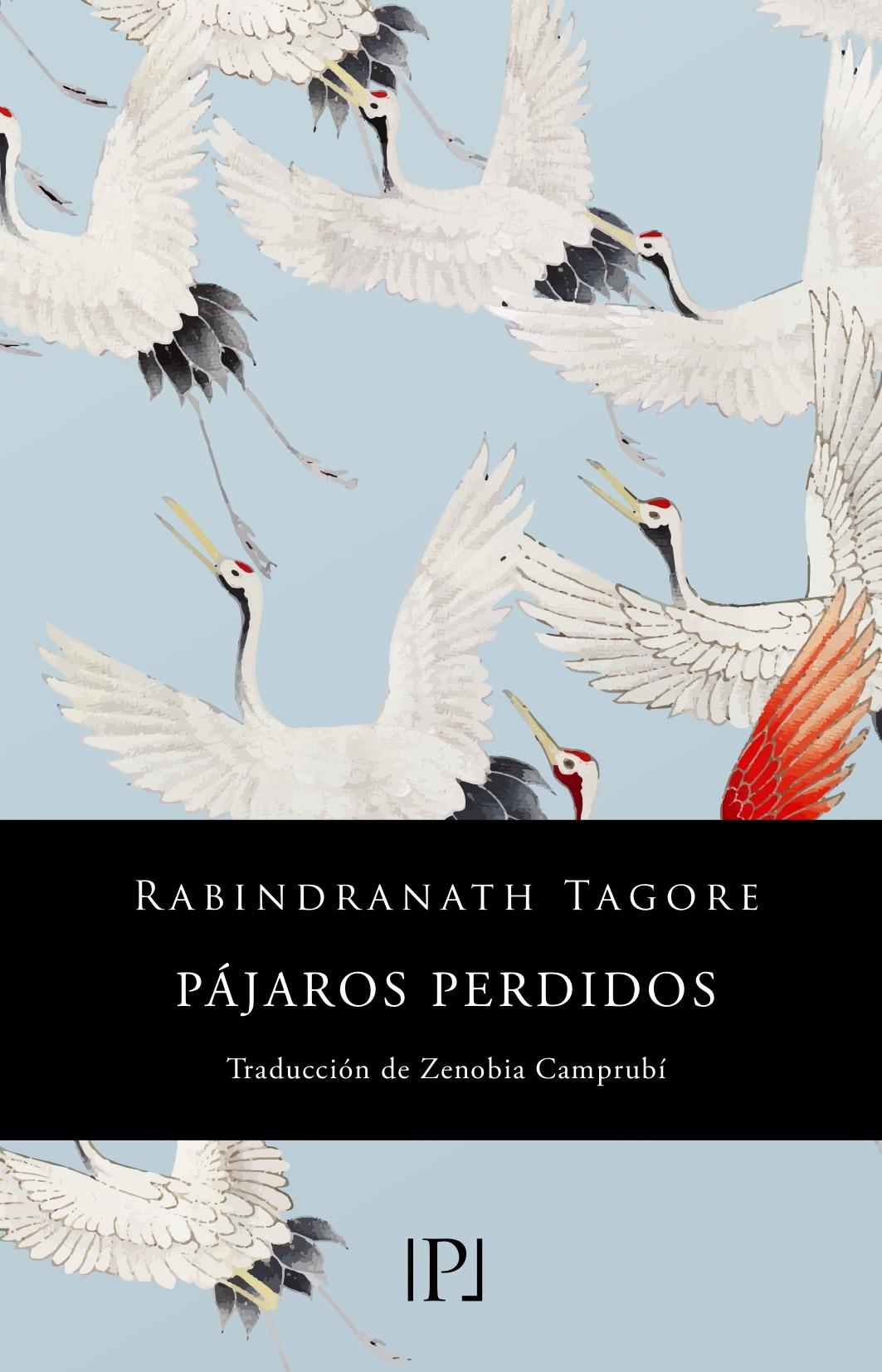 Pájaros Perdidos (Sentimientos)