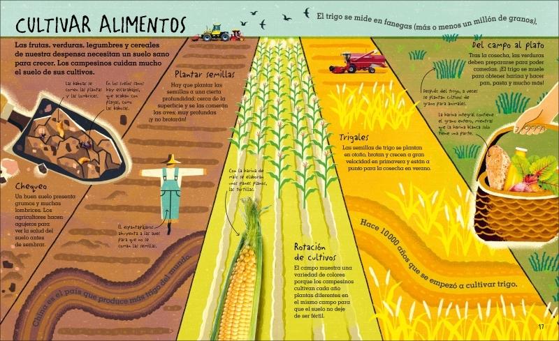 Bajo tus Pies "Suelo, Arena y Todo lo que Hay bajo Tierra"