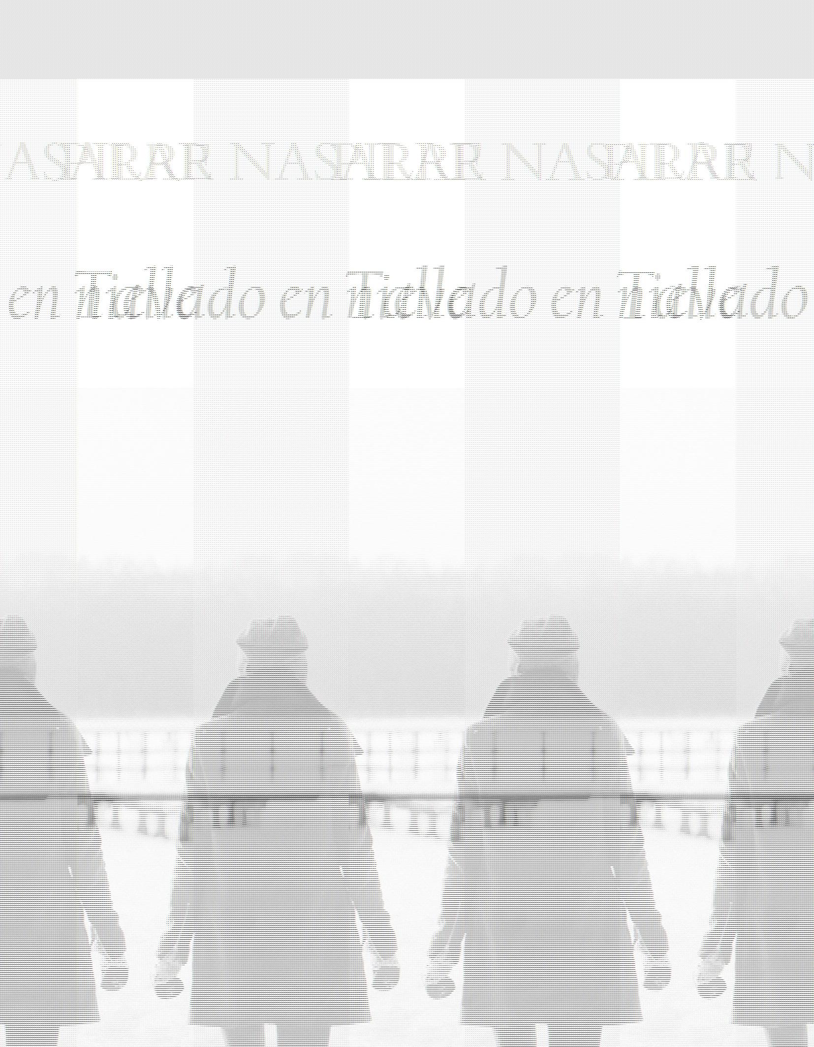 Tallado en Nieve. Tallado en Nieve.