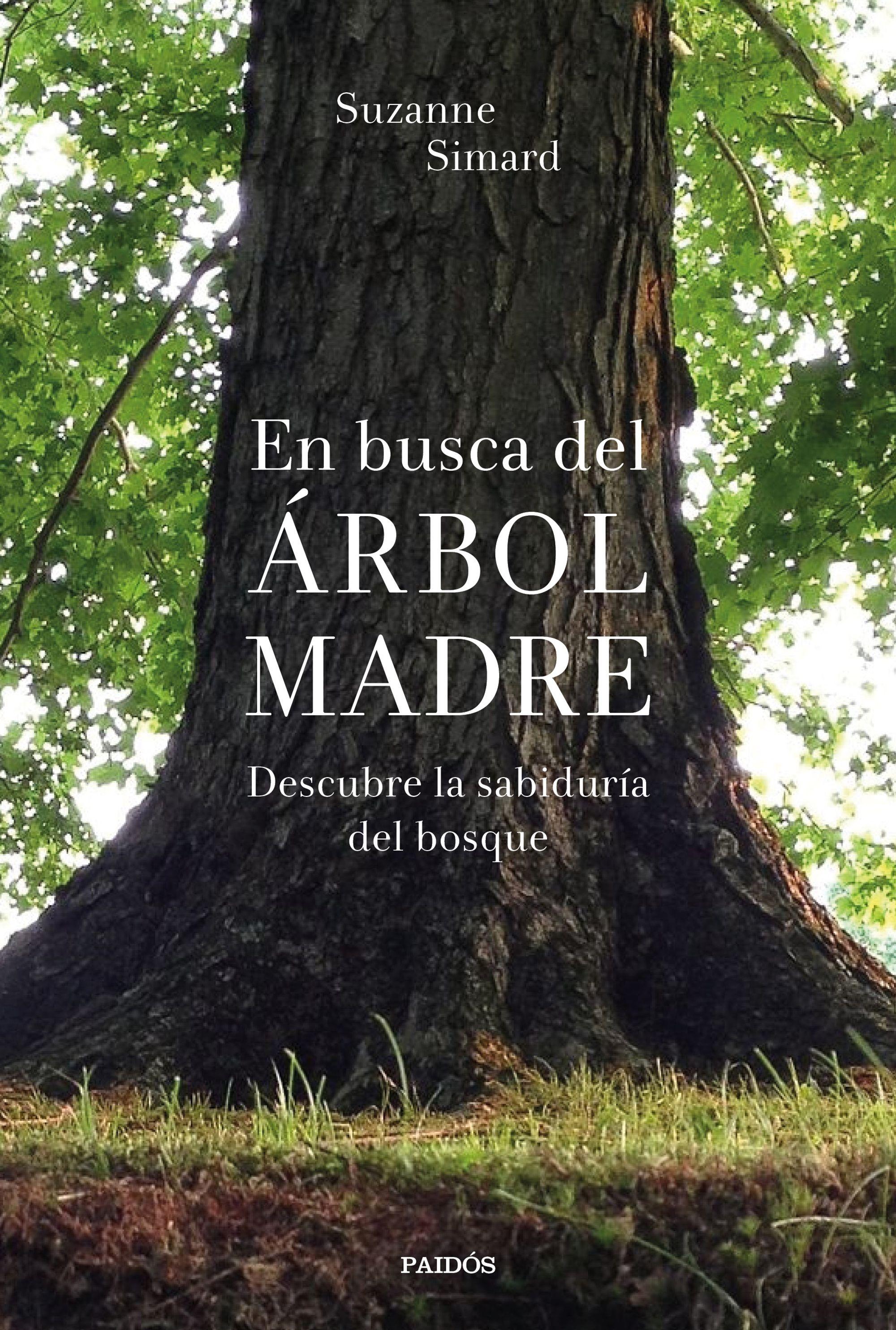 En Busca del Árbol Madre "Descubre la Sabiduría del Bosque". 