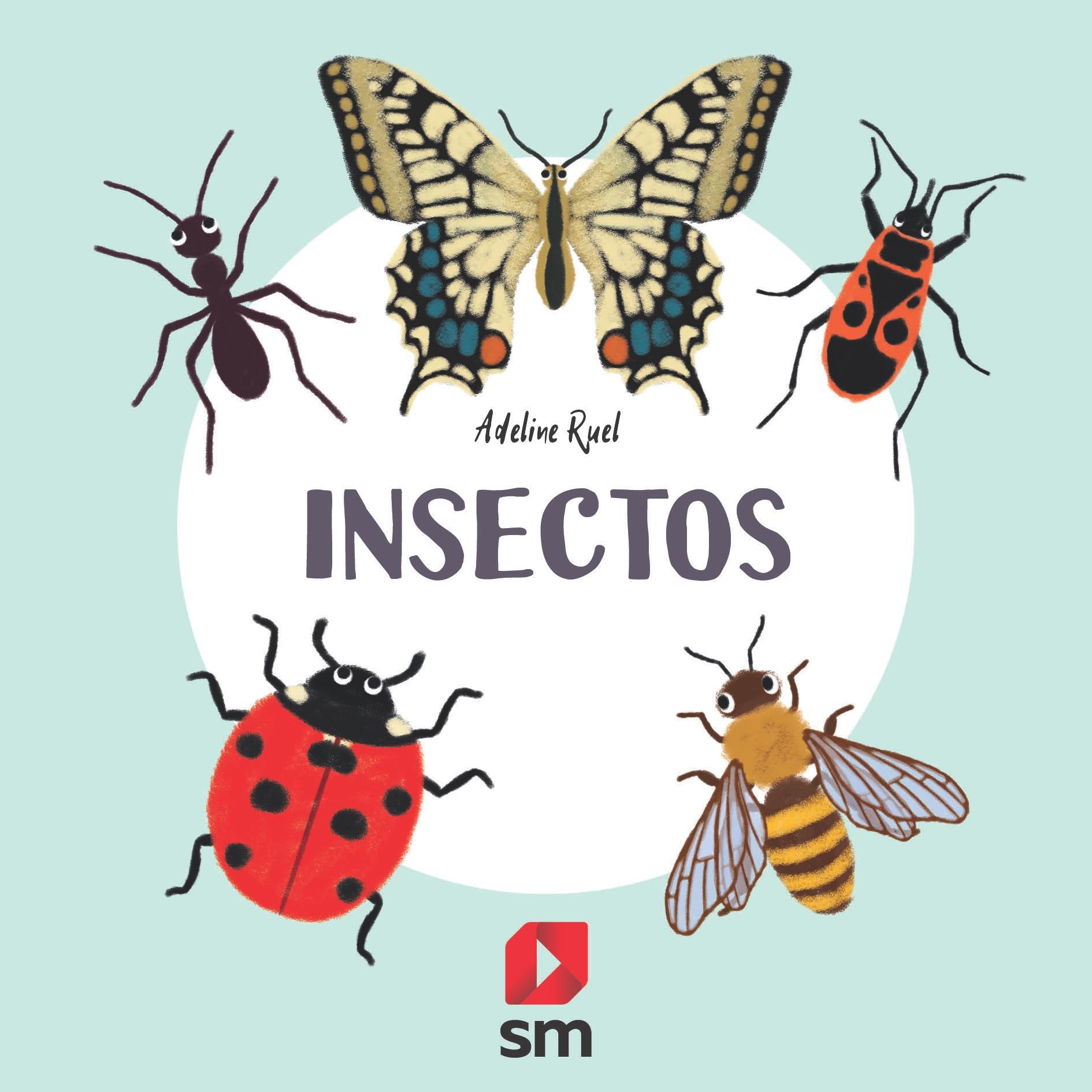 Insectos. 