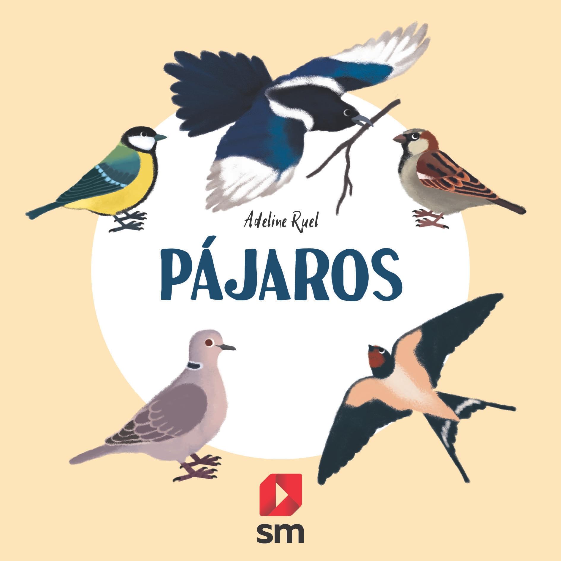 Pájaros. 