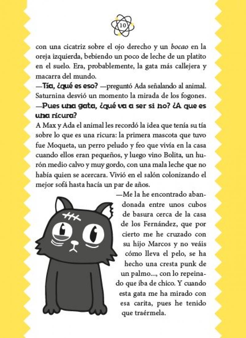 Cómo Explicar Física Cuántica con un Gato Zombi