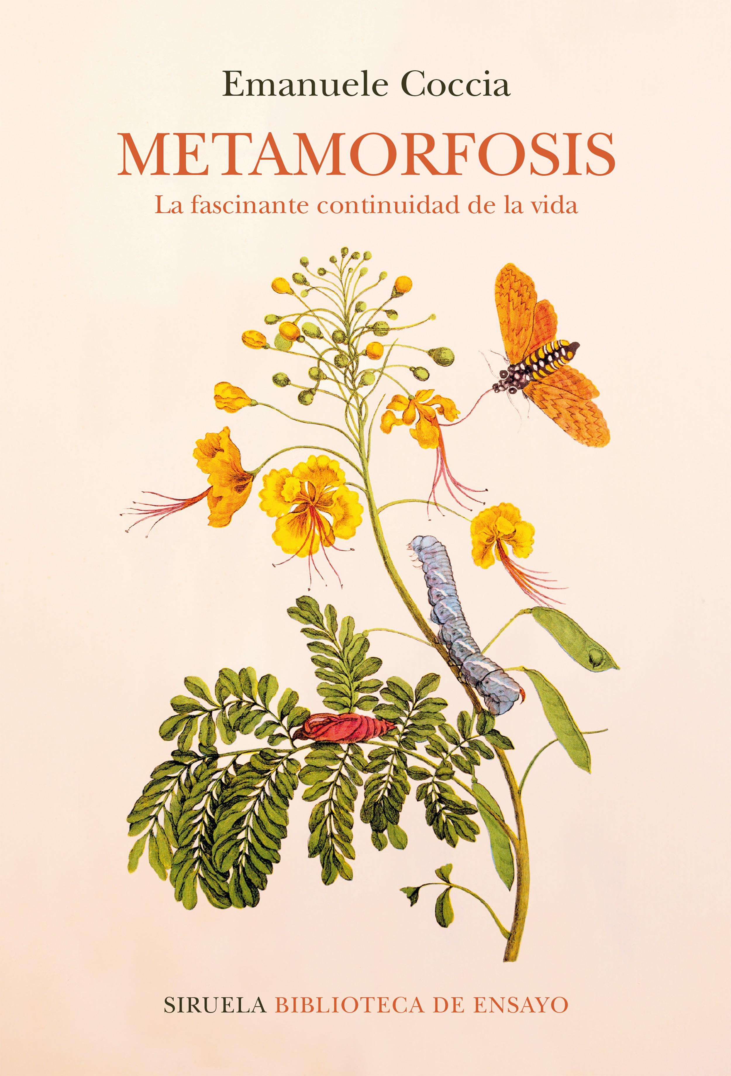 Metamorfosis "La Fascinante Continuidad de la Vida". Metamorfosis "La Fascinante Continuidad de la Vida".