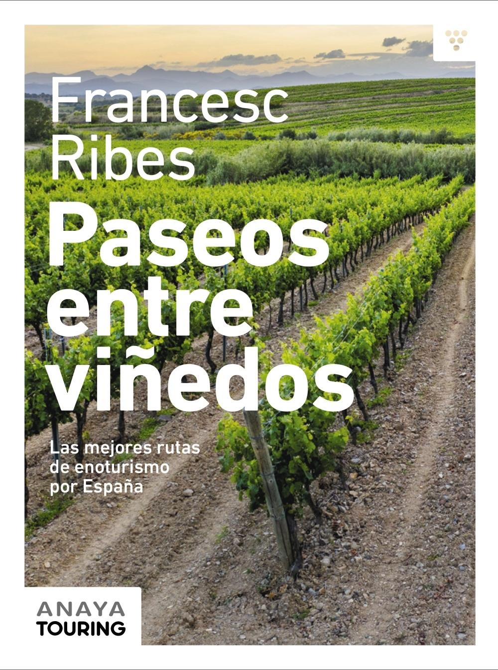 Paseos Entre Viñedos. 