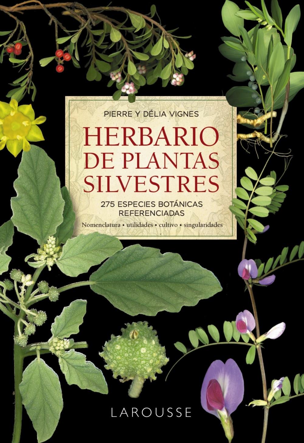 Herbario de Plantas Silvestres. 