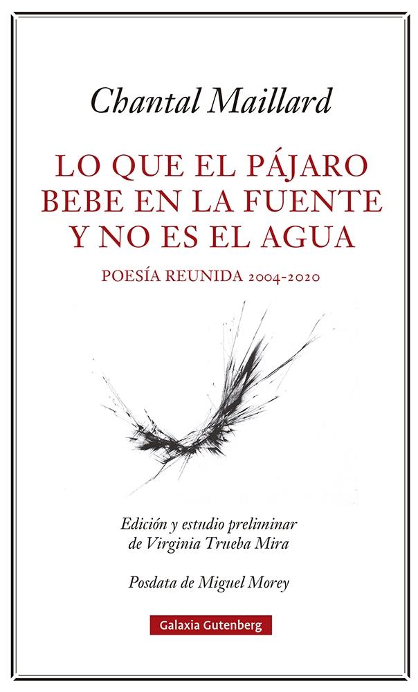 Lo que el Pájaro Bebe en la Fuente y no Es el Agua "Obra Poética Reunida 2004-2020"